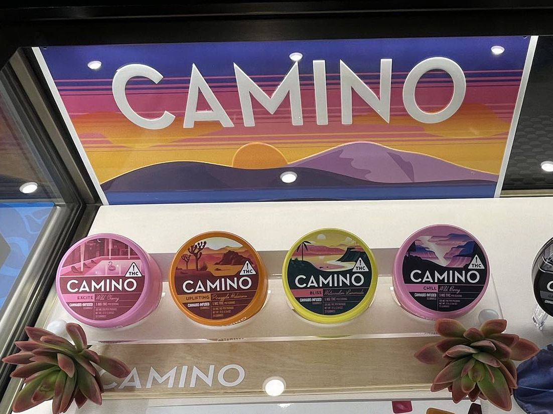 2023 Cannabis Cup Winners: Celebrating the Best in Cannabis