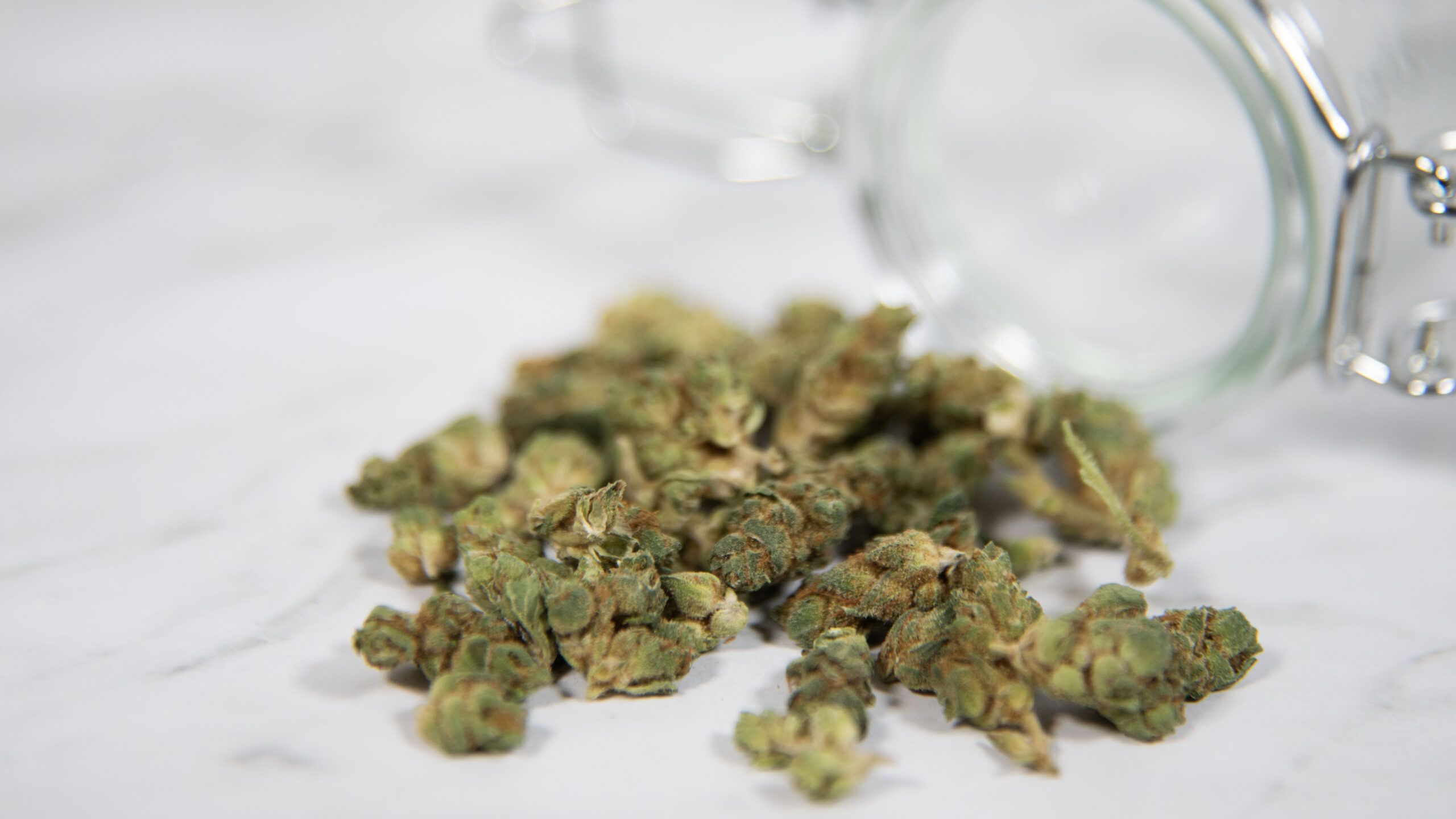 The Growth of Medical Cannabis in Canada and the United States